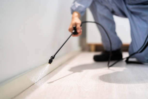 Licensed Mosquito Control service in Wewoka, OK - Show Me Pest Control