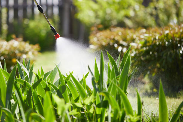 24/7 Emergency Mosquito Control experts in Wewoka, OK