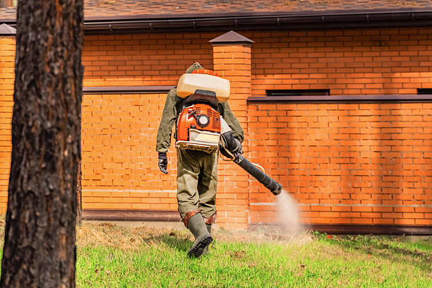 Top rated local Mosquito Control specialists in Wewoka, OK